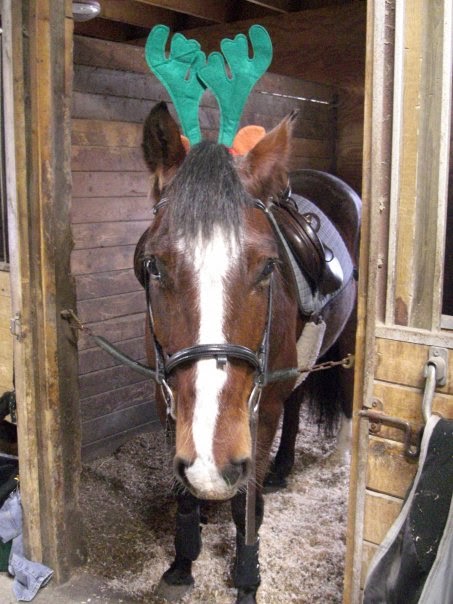 5b0ba-2118_57444489663_5089_n