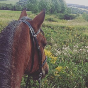 20170831_212949946_iOS