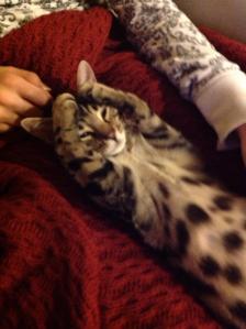 738330_10151197131625222_878510534_o