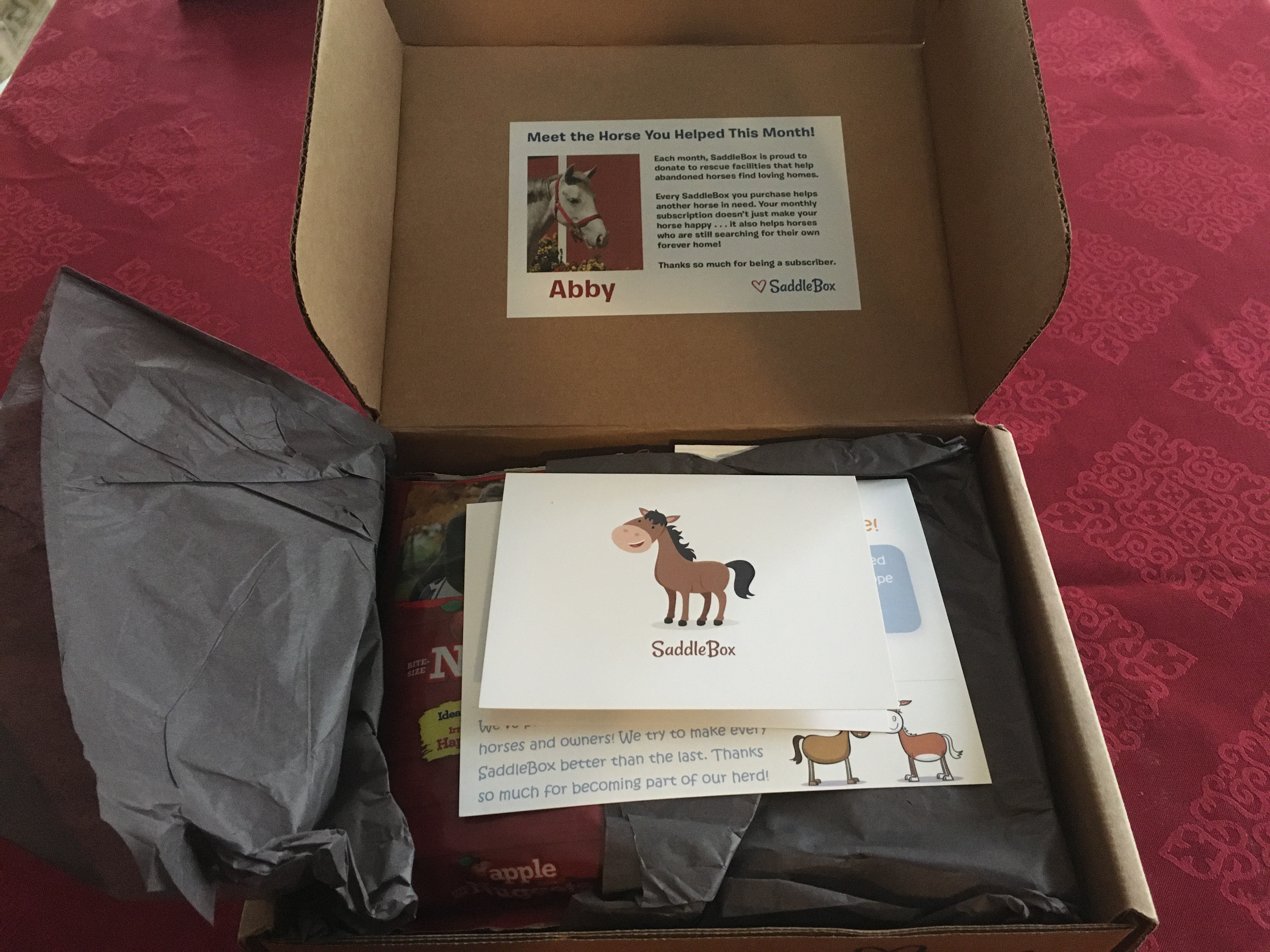 Saddlebox Review 